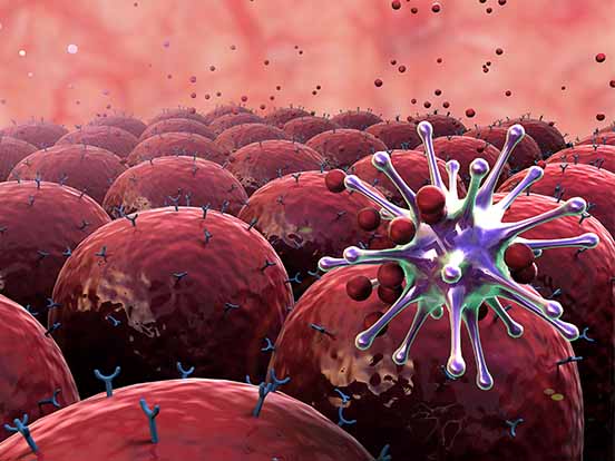 Immunology Products