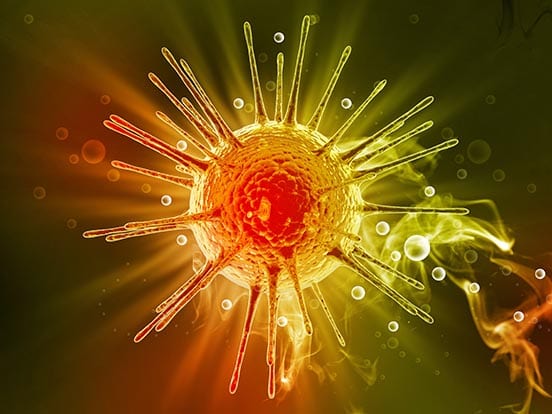 Lentiviruses for SARSCoV2 038 COVID19 Research