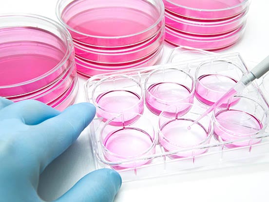 Animal 038 EndotoxinFree Growth Factors 038 Cytokines