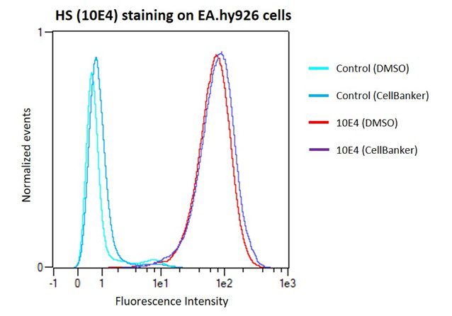 RS GRAPH