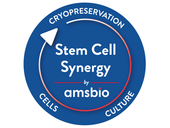 Stem Cell Synergy Solution