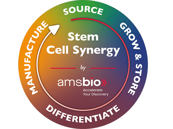Expanded Stem Cell Synergy Solutions