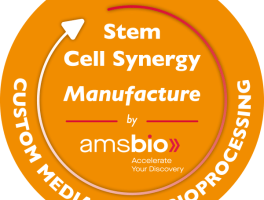 Stem Cell Synergy Solution 8211 Manufacture